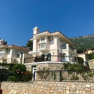 Artemisia Villa